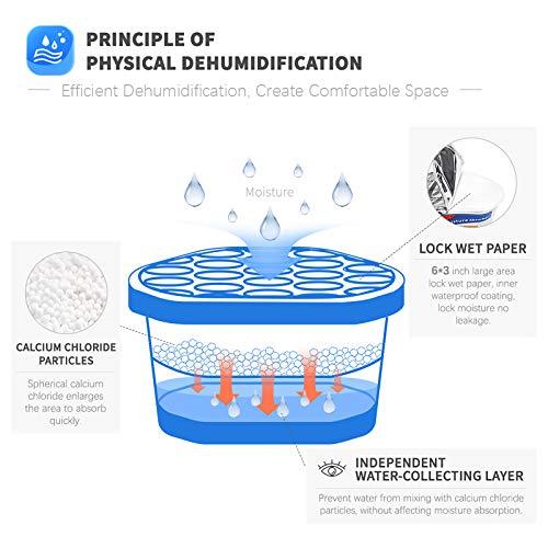 Moisture Absorber Dehumidifier, Unscented مزيل الرطوبة بدون عطر