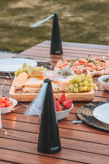 Fly Repellent Table Fan
